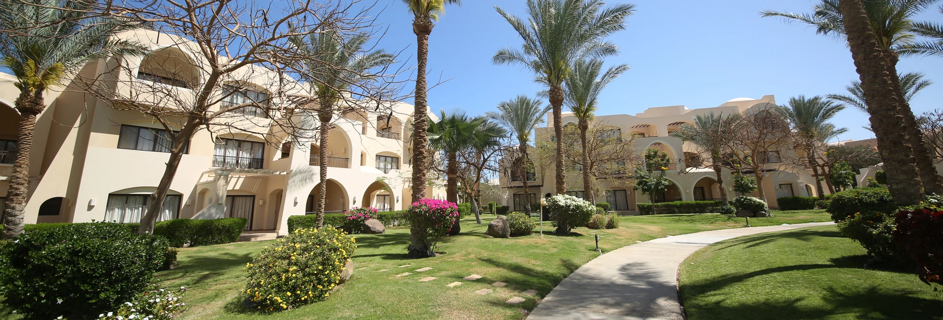 Jaz Saraya Palms Hotel
