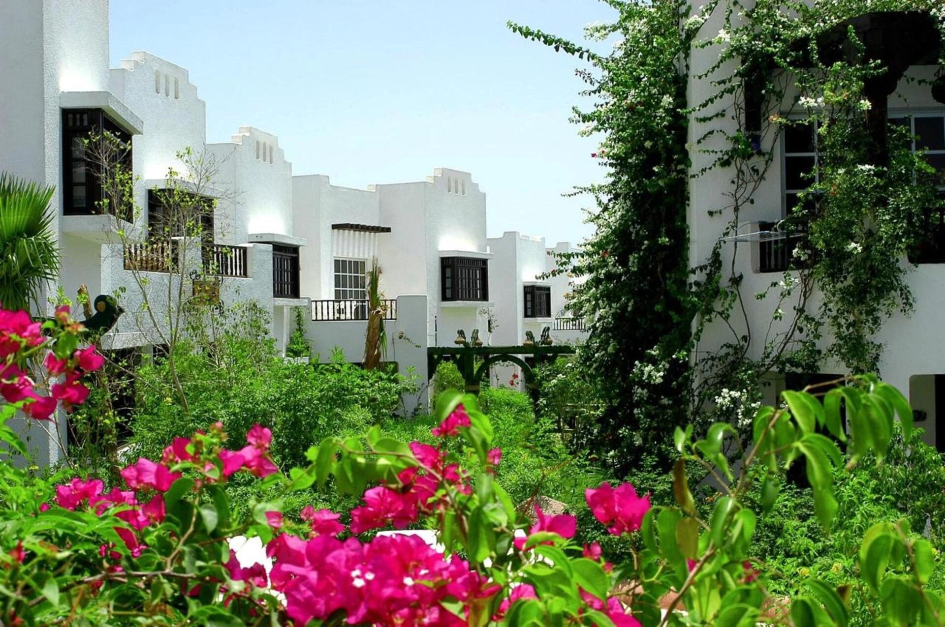 Delta Sharm Resort