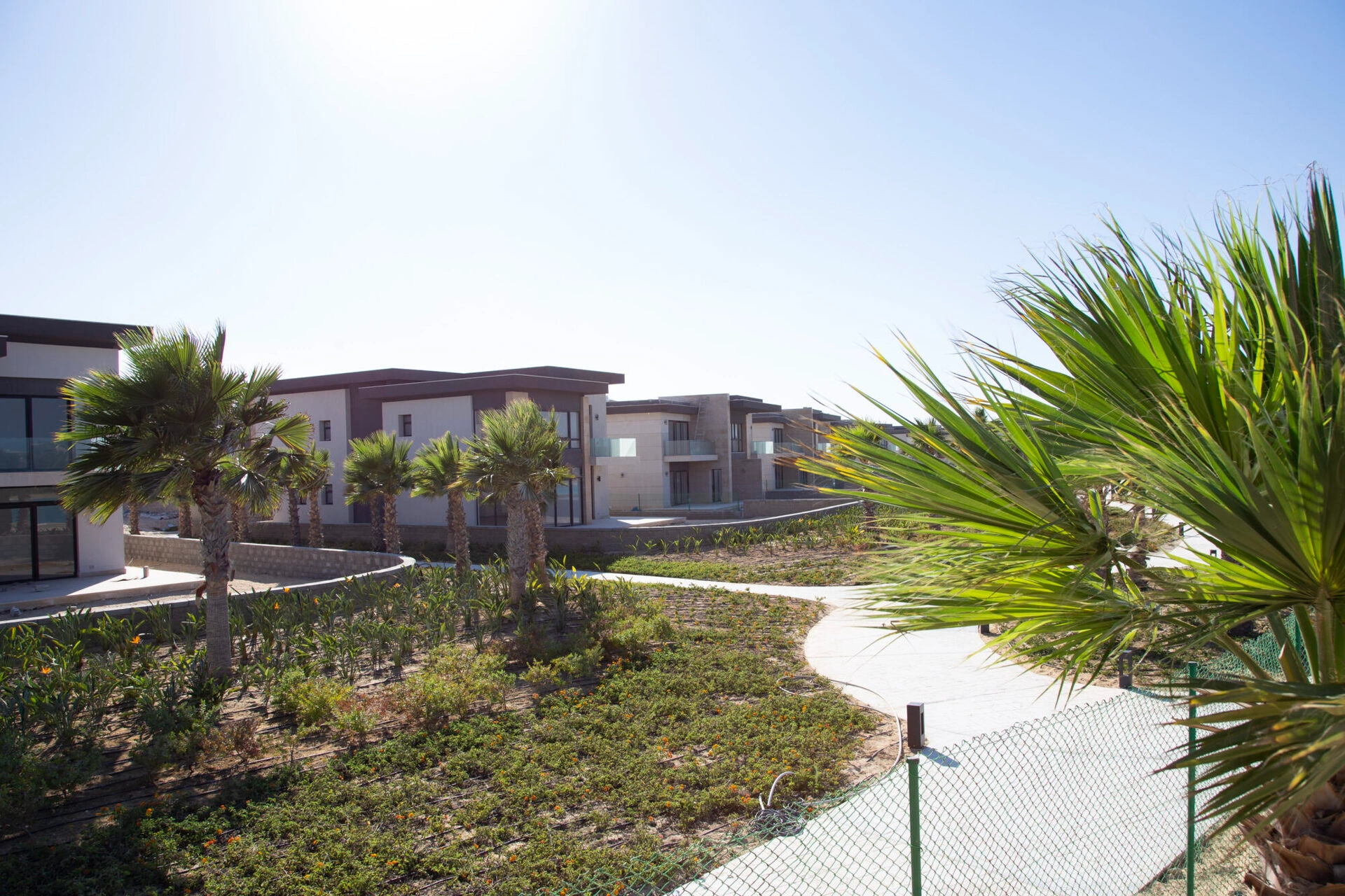  Swan Lake Compound 
